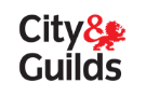 City & Guilds qualified plumbing and heating engineers